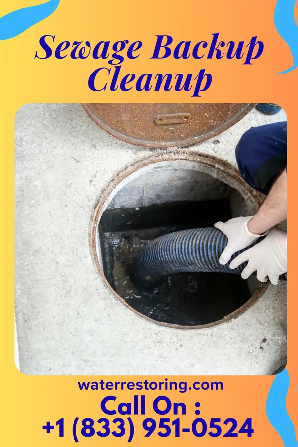 Sewage Backup Cleanup in Pearland, TX